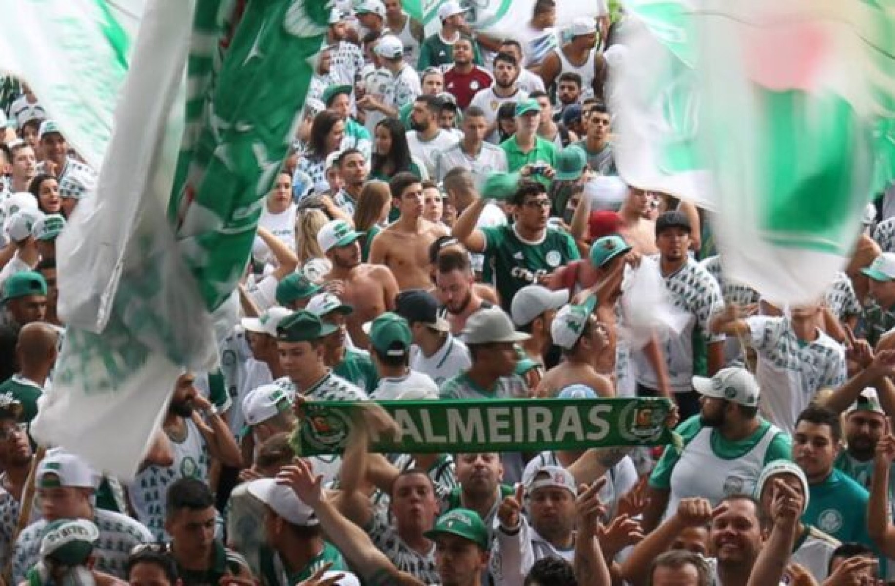 Palmeiras é cobrado na Justiça por multa do Procon; saiba valor