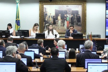 Proposta precisará ir ainda para comissão especial antes de poder ser votada em plenário


 -  (crédito: Vinicius Loures/Câmara dos Deputados)