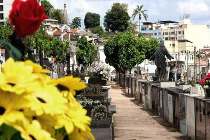 Situação inusitada aconteceu no Cemitério Municipal de Juiz de Fora -  (crédito: Divulgação /PJF)