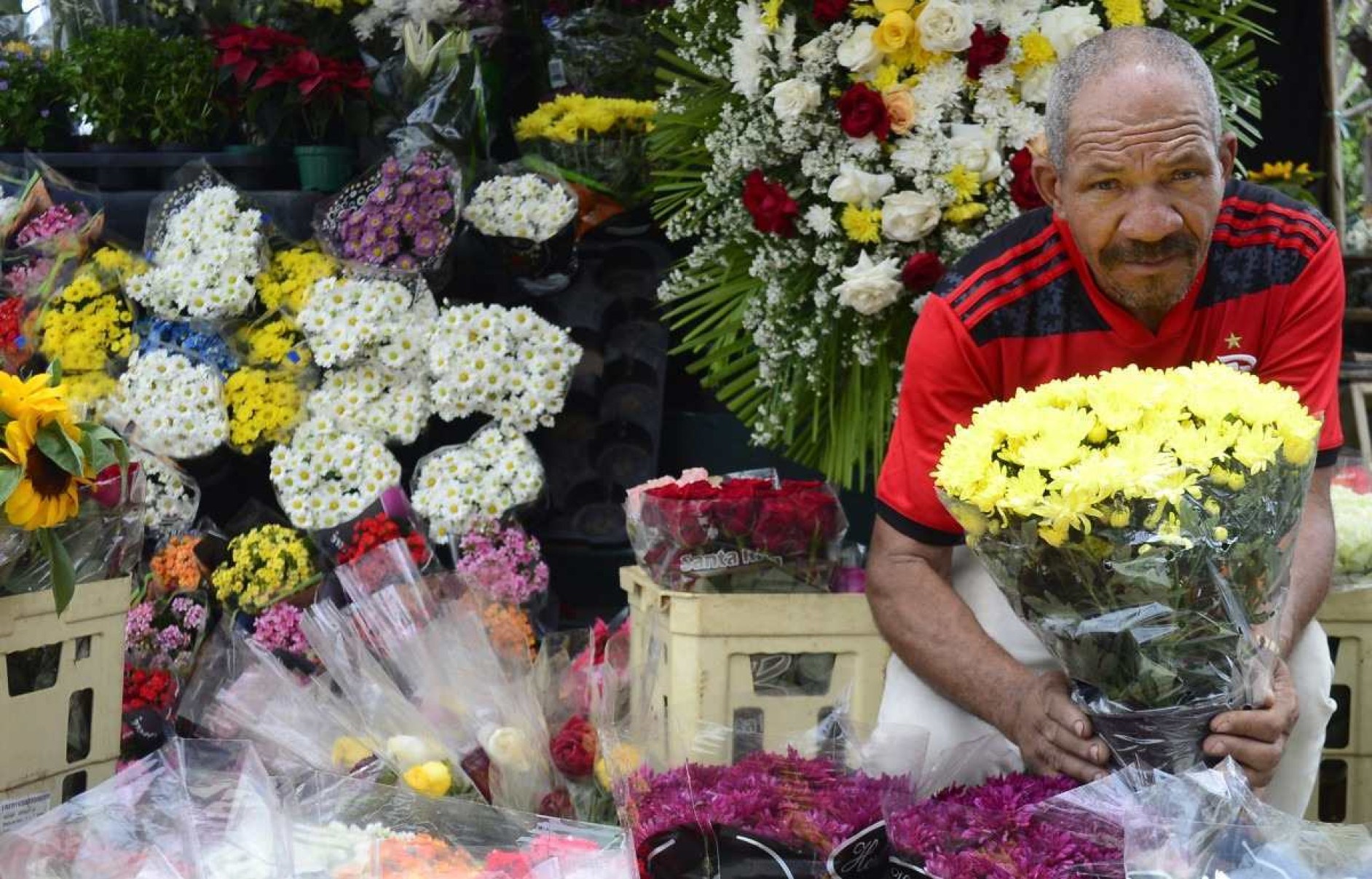 Comércio de flores e velas aquecido para o feriado de Finados 