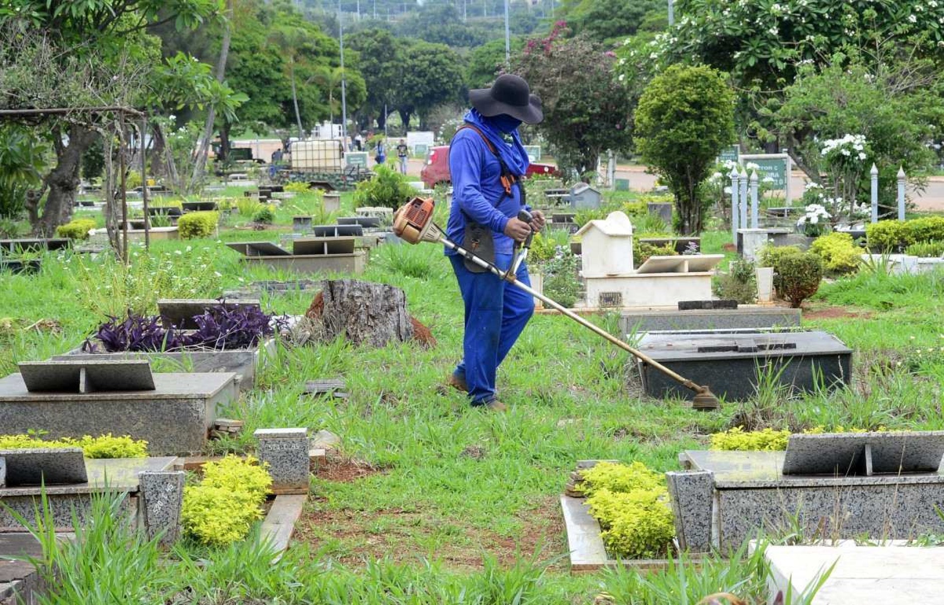 Trânsito alterado no Dia de Finados: Veja como chegar aos cemitérios