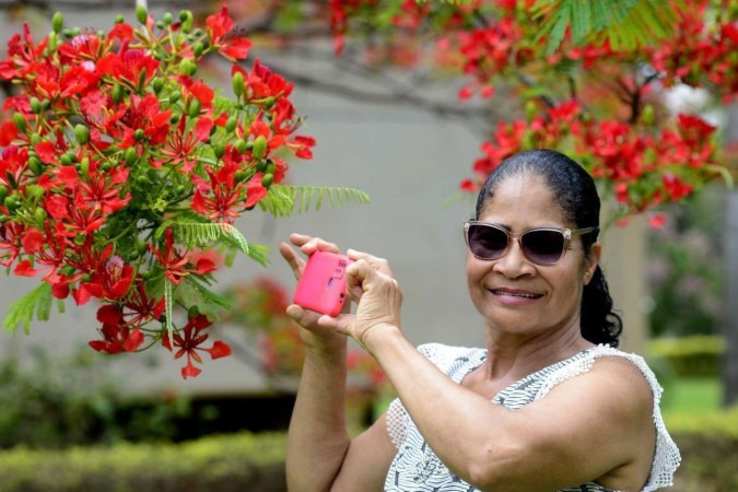 Sempre que pode, Ana Maria faz fotos junto aos flamboyants
 -  (crédito:  Marcelo Ferreira/CB/D.A Press)