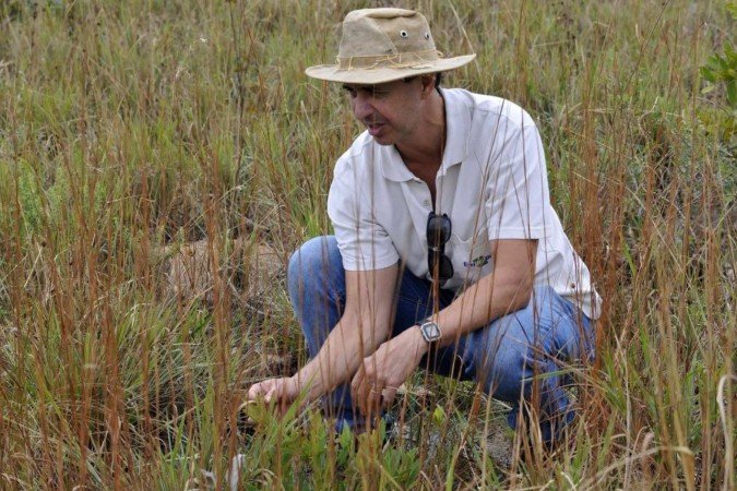 Marcelo Simon, pesquisador da Embrapa, mostra espécies do Cerrado