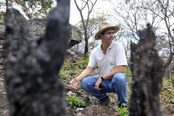 Marcelo Simon, pesquisador da Embrapa, mostra espécies do Cerrado