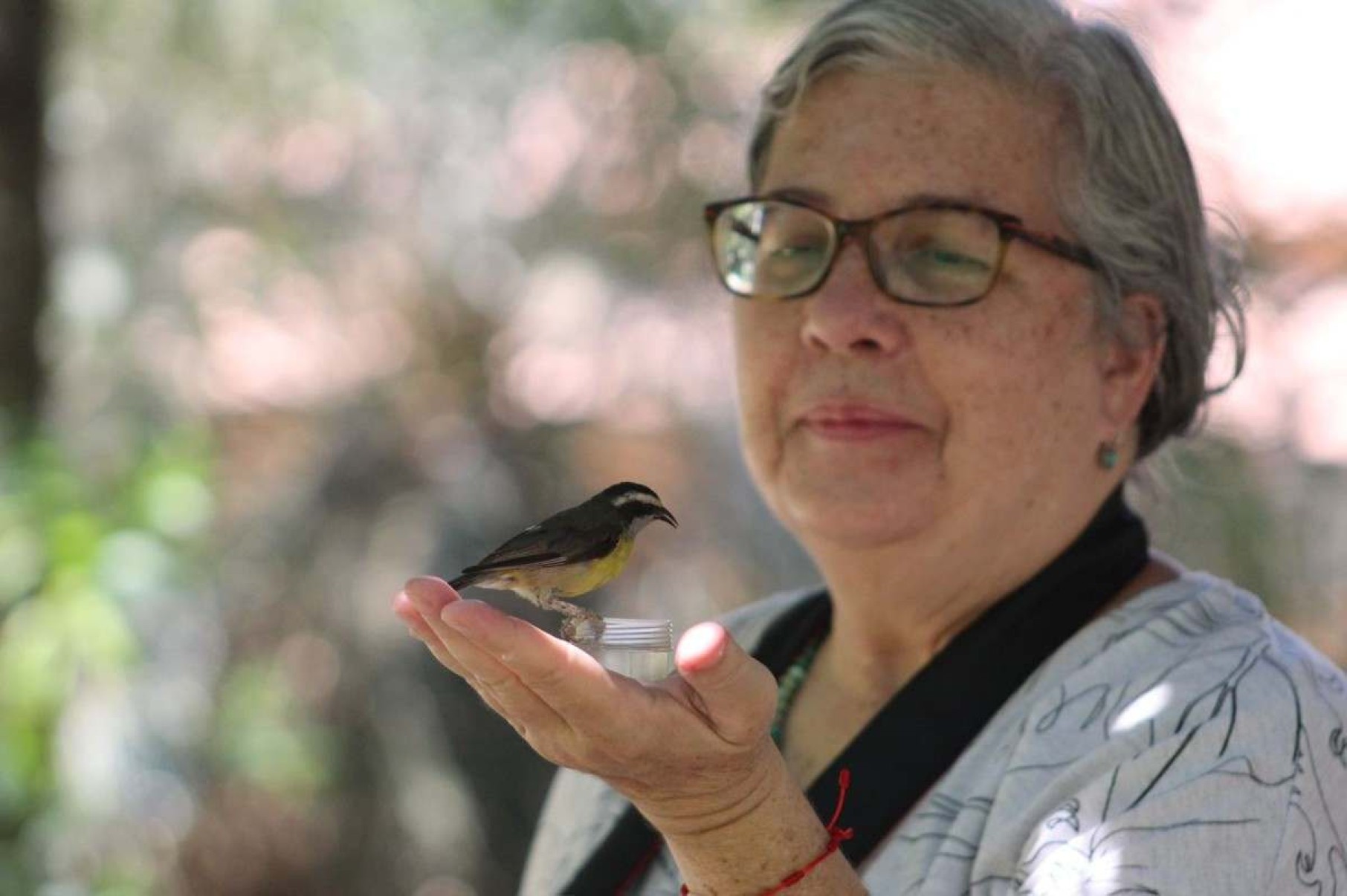 Rosa Varella foi uma das primeiras visitantes do Jardim dos Beija-Flores