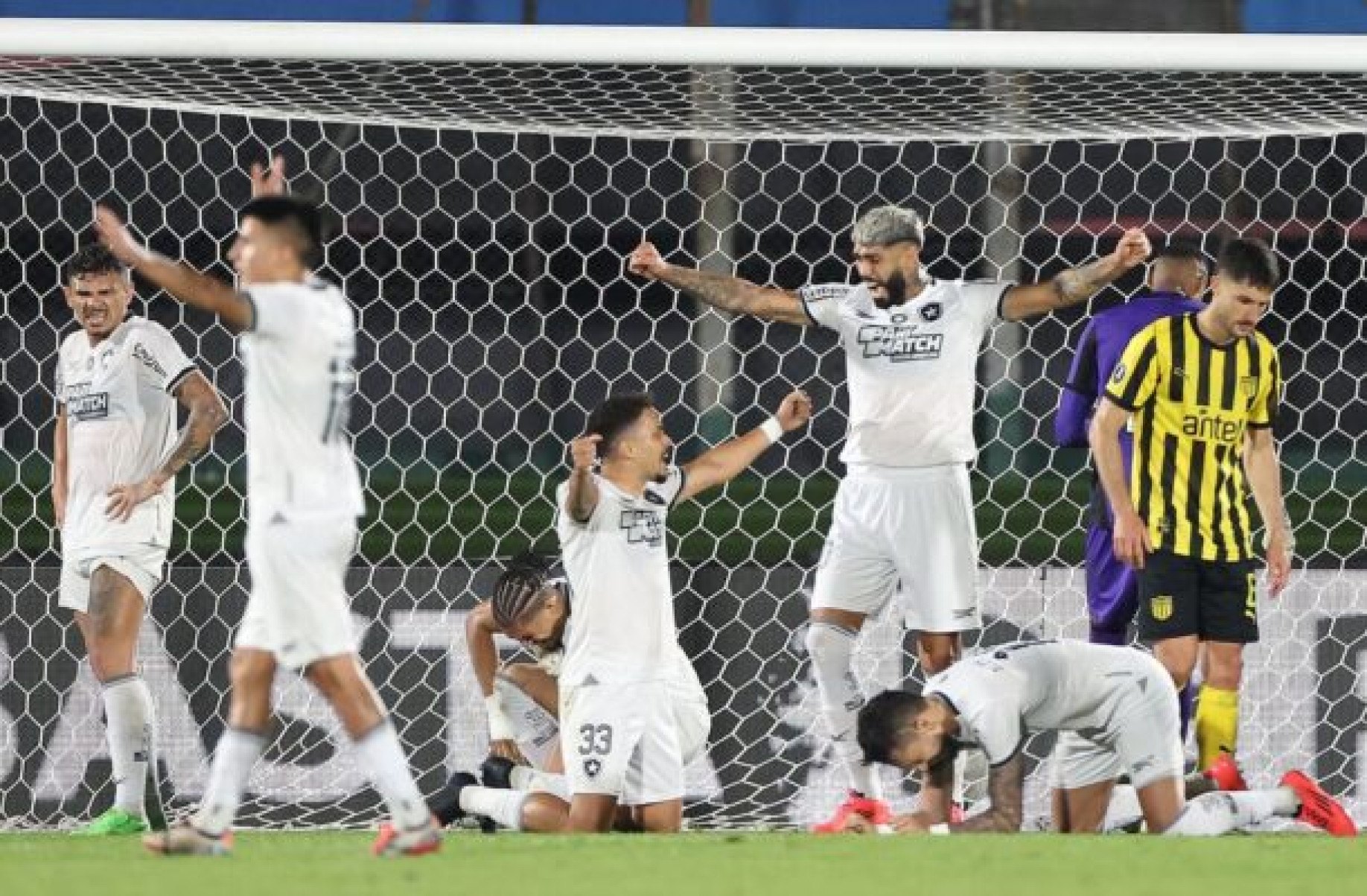 Botafogo garante pelo menos R$ 100 milhões na Libertadores