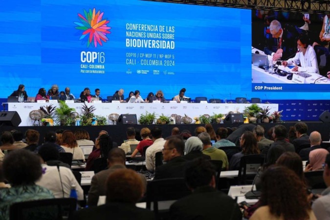 Durante os debates, apenas Alemanha, Canadá, Nova Zelândia e Reino Unido anunciaram doações, bem abaixo do esperado pela organização geral do evento -  (crédito:  COP16/Divulgação)