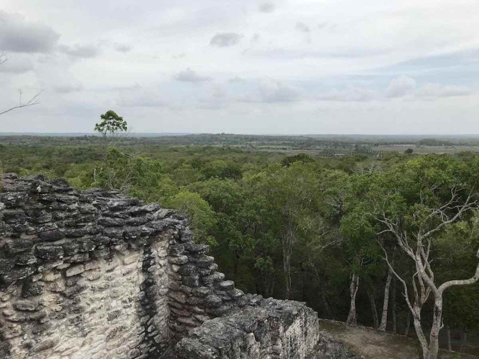 A cidade Maia encontrada acidentalmente por estudante