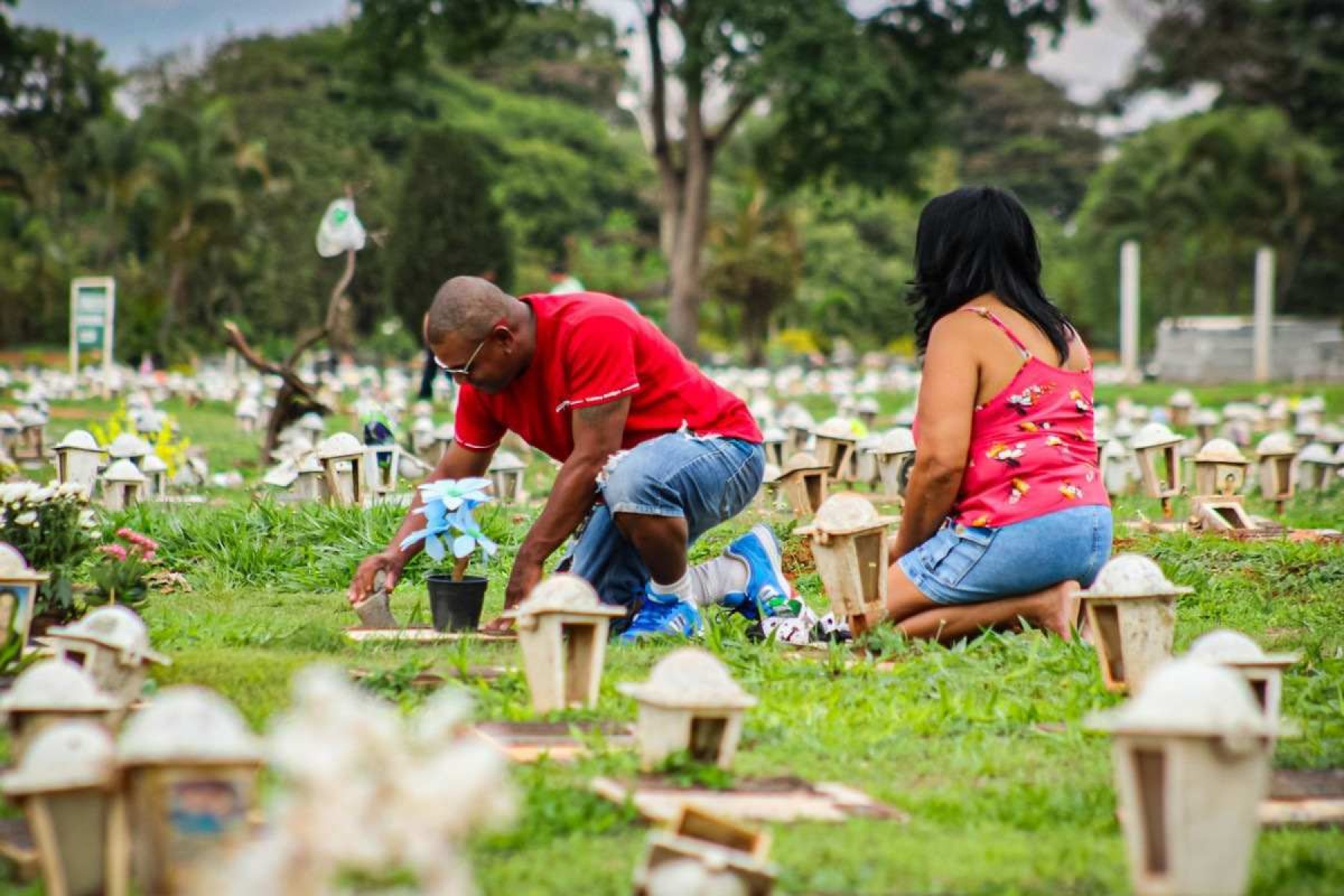 Mais de 600 mil devem visitar cemitérios do DF no Dia de Finados 