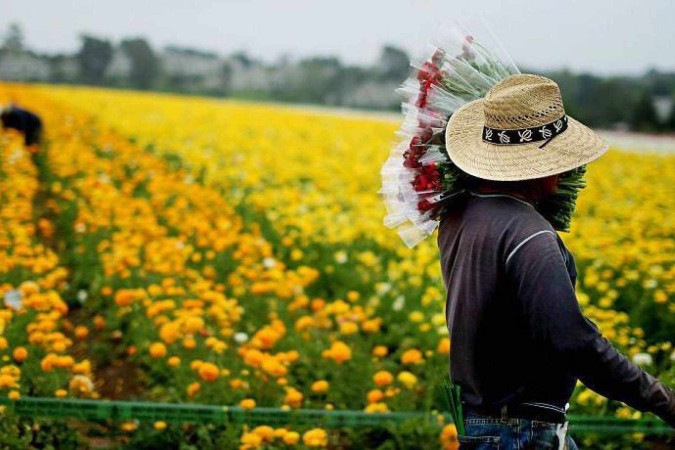 Um número recorde de pessoas cruzou do México para os EUA no final de 2023, mas caiu desde então para o menor nível em quatro anos -  (crédito: Getty Images)