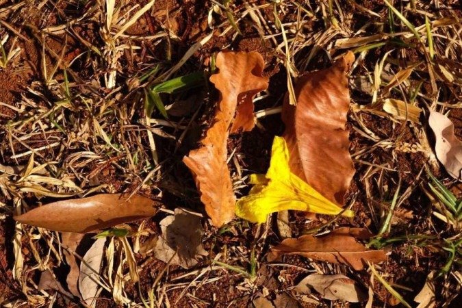 Exposição reúne registros fotográficos feitos por pessoas com deficiência