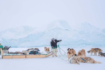 Foto de John Fabiano que está entre os ganhadores do Dog Photography Awards 2024 -  (crédito: John Fabiano/Dog Photography Awards)