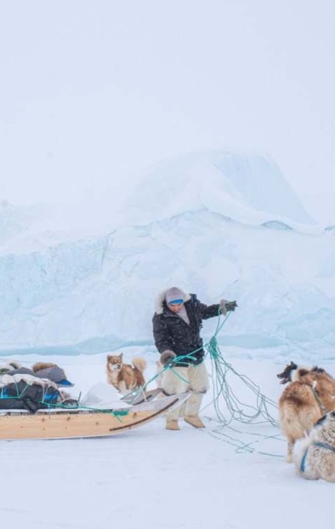 Foto de John Fabiano que está entre os ganhadores do Dog Photography Awards 2024 -  (crédito: John Fabiano/Dog Photography Awards)