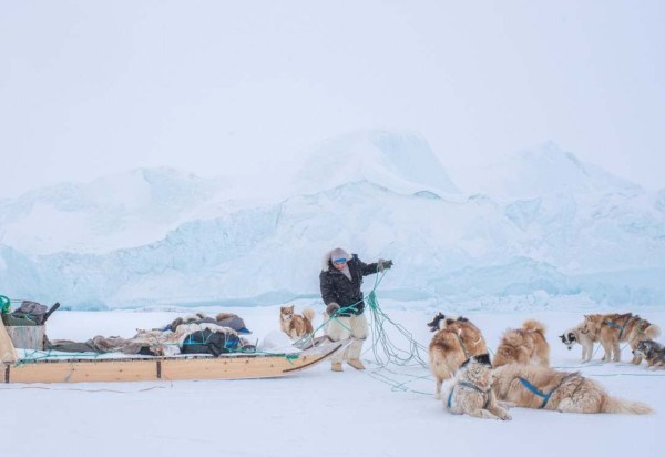 Foto de John Fabiano que está entre os ganhadores do Dog Photography Awards 2024 -  (crédito: John Fabiano/Dog Photography Awards)