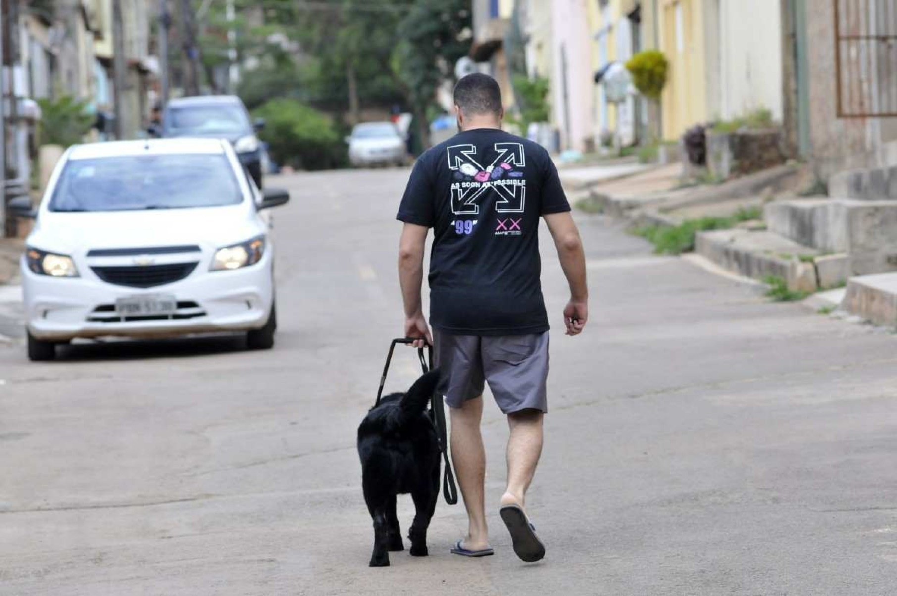 Convivência com pets ajuda a cuidar da saúde mental de tutores