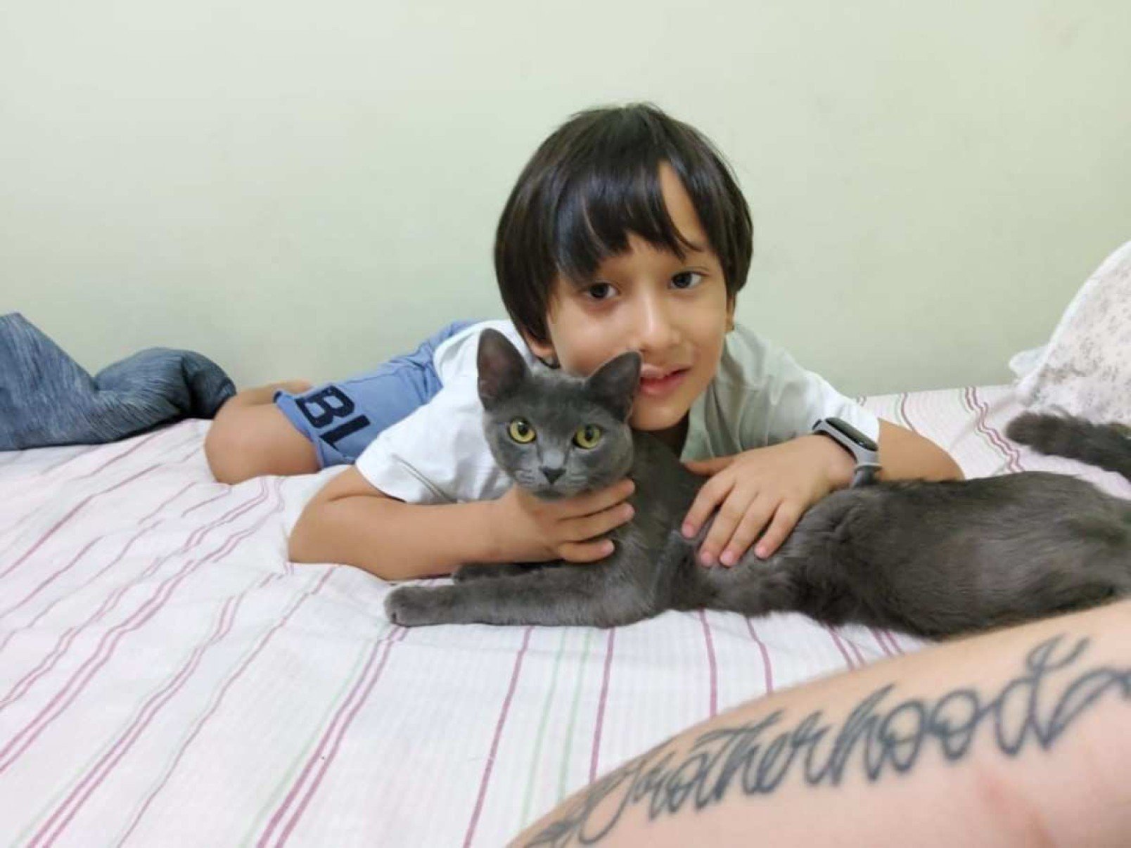 Para Victor, diagnosticado com autismo, a gata Camile representa a felicidade