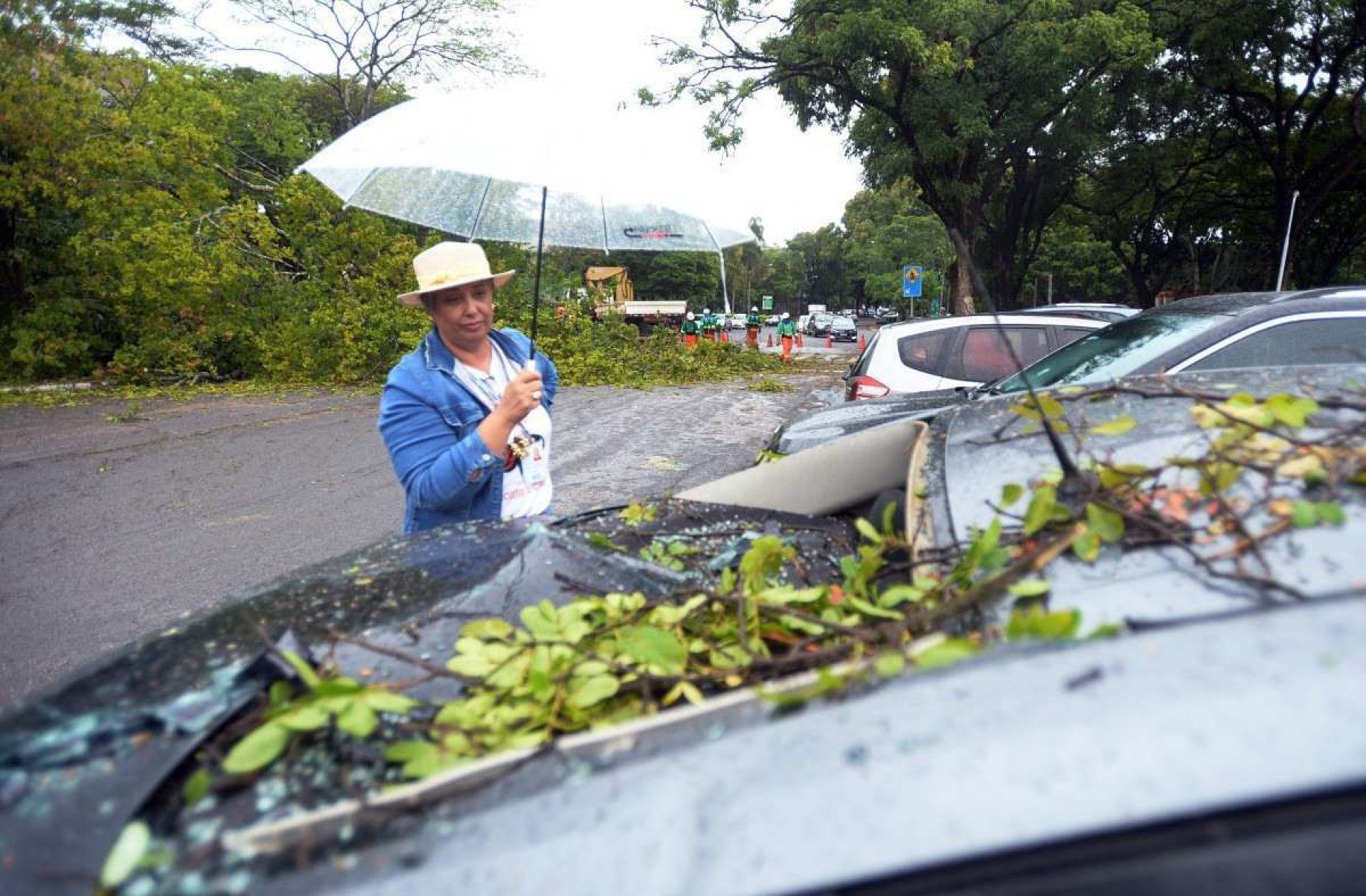  05/11/2024 Credito: Ed Alves/CB/DA.Press. Cidades. Arvore cai em cima de carro na 402/403 Norte. NA foto, Shirley Alves - Diretora da Escola. 