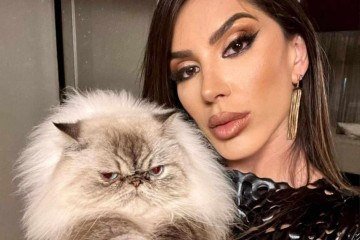 Andrea Andrade -  (crédito: Divulgação)