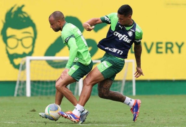 Foto: Cesar Greco/Palmeiras