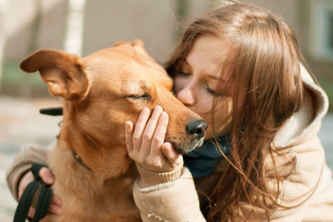 Uma relação próxima com o cachorro facilita a convivência no dia a dia (Imagem: Sopeya | Shutterstock) -  (crédito: EdiCase)