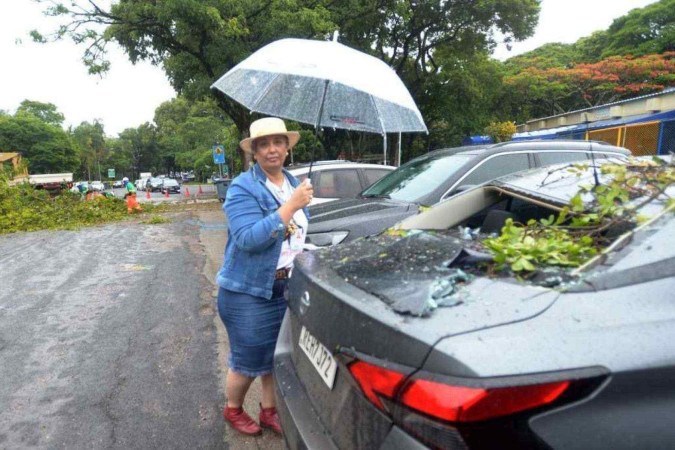 Árvore fez estragos ao cair em frente a escola na Asa Norte -  (crédito: Ed Alves/CB/D.A. Press)