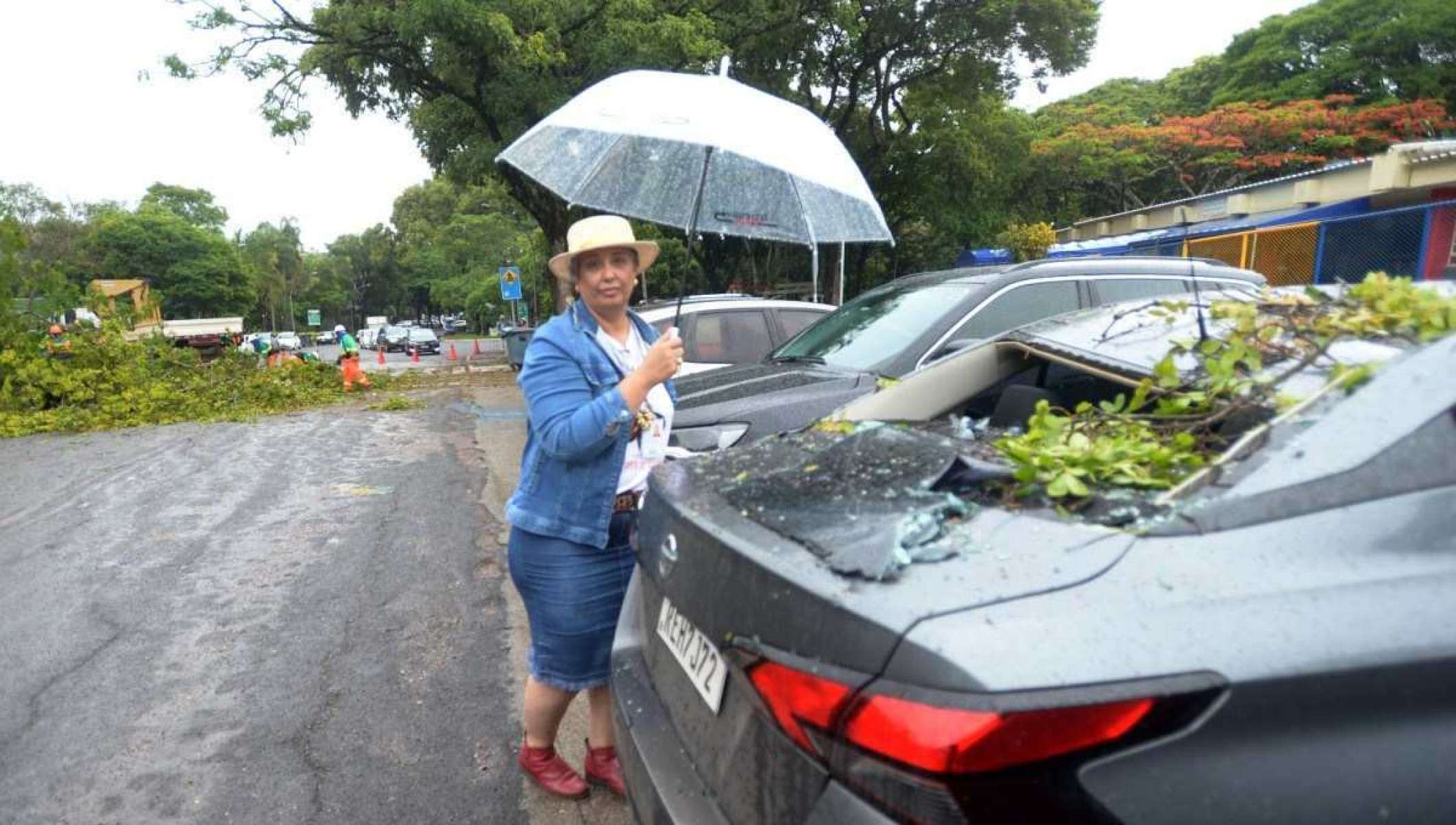 Árvore fez estragos ao cair em frente a escola na Asa Norte