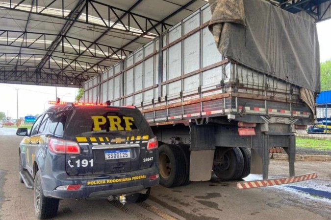 O motorista foi preso em flagrante por uso de documento falso e transporte ilegal de madeira -  (crédito: Divulgação/PRF)