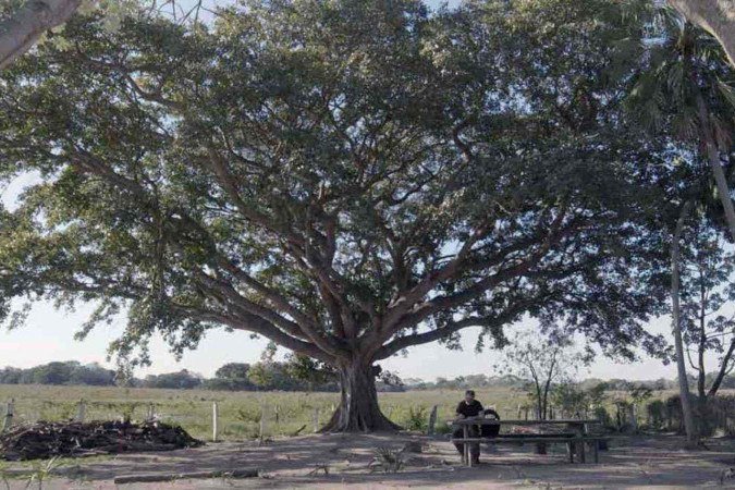 Tesouro Natterer é um documentário sobre um naturalista austríaco 