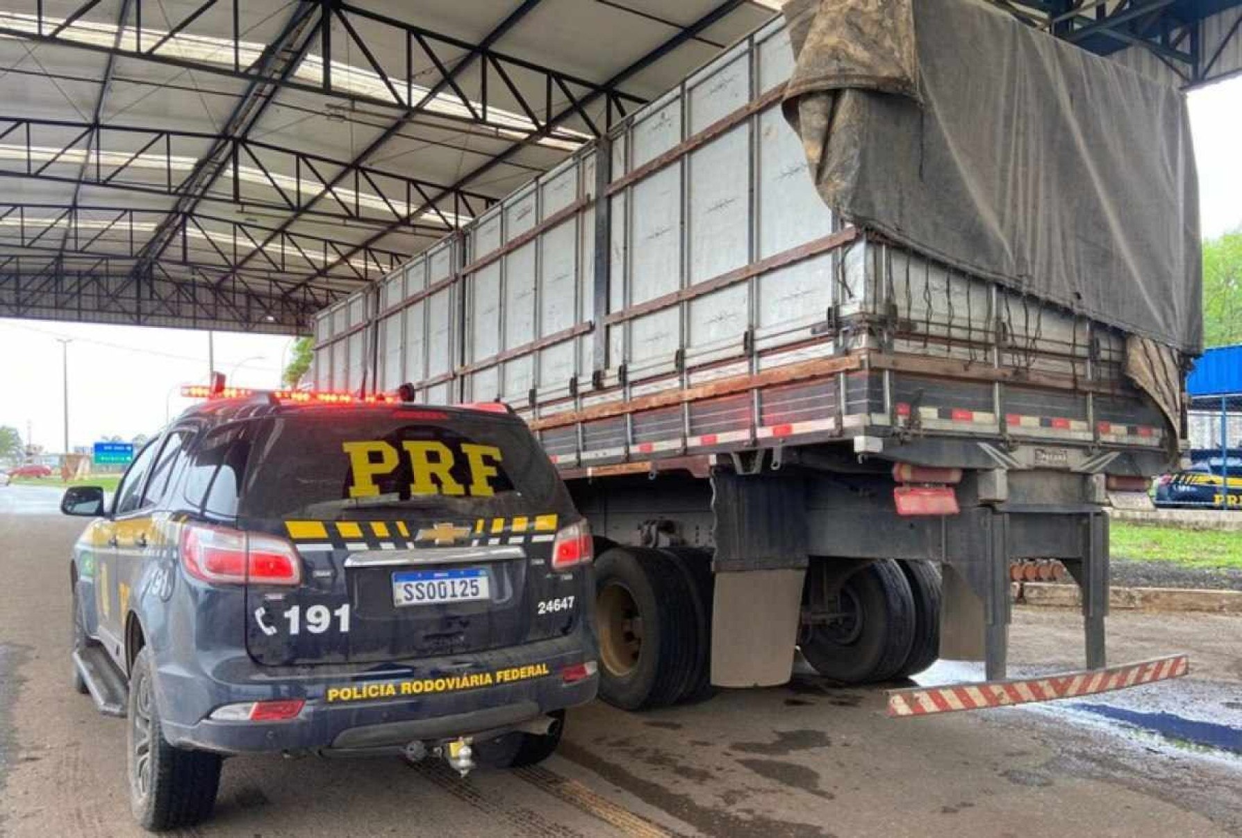 Caminhão carregado com madeira ilegal é apreendido na BR-070