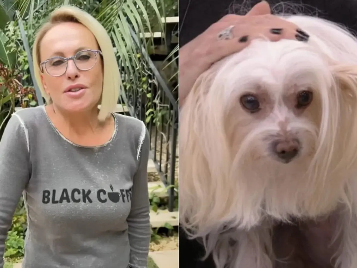 Ana Maria Braga chora por morte da cachorrinha Cristal: 