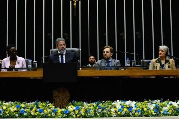 Lira: reforma deve incluir não só a ONU como o Conselho de Segurança -  (crédito: Geraldo Magela/Agência Senado)