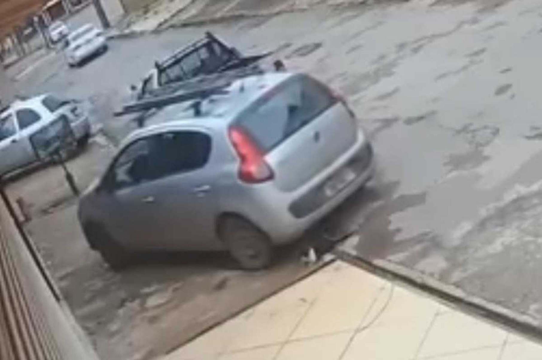 Mulher é presa por chutar, atropelar e matar gato em Ceilândia; vídeo