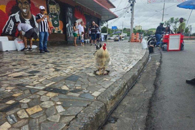 Galo Bastião: celebridade entre os torcedores nos arredores da Arena MRV