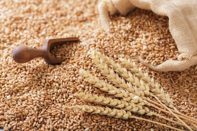 O trigo pode ser incorporado de maneira saudável na dieta (Imagem: Nitr | Shutterstock) - (crédito: EdiCase) O trigo pode ser incorporado de maneira saudável na dieta (Imagem: Nitr | Shutterstock) - (crédito: EdiCase)