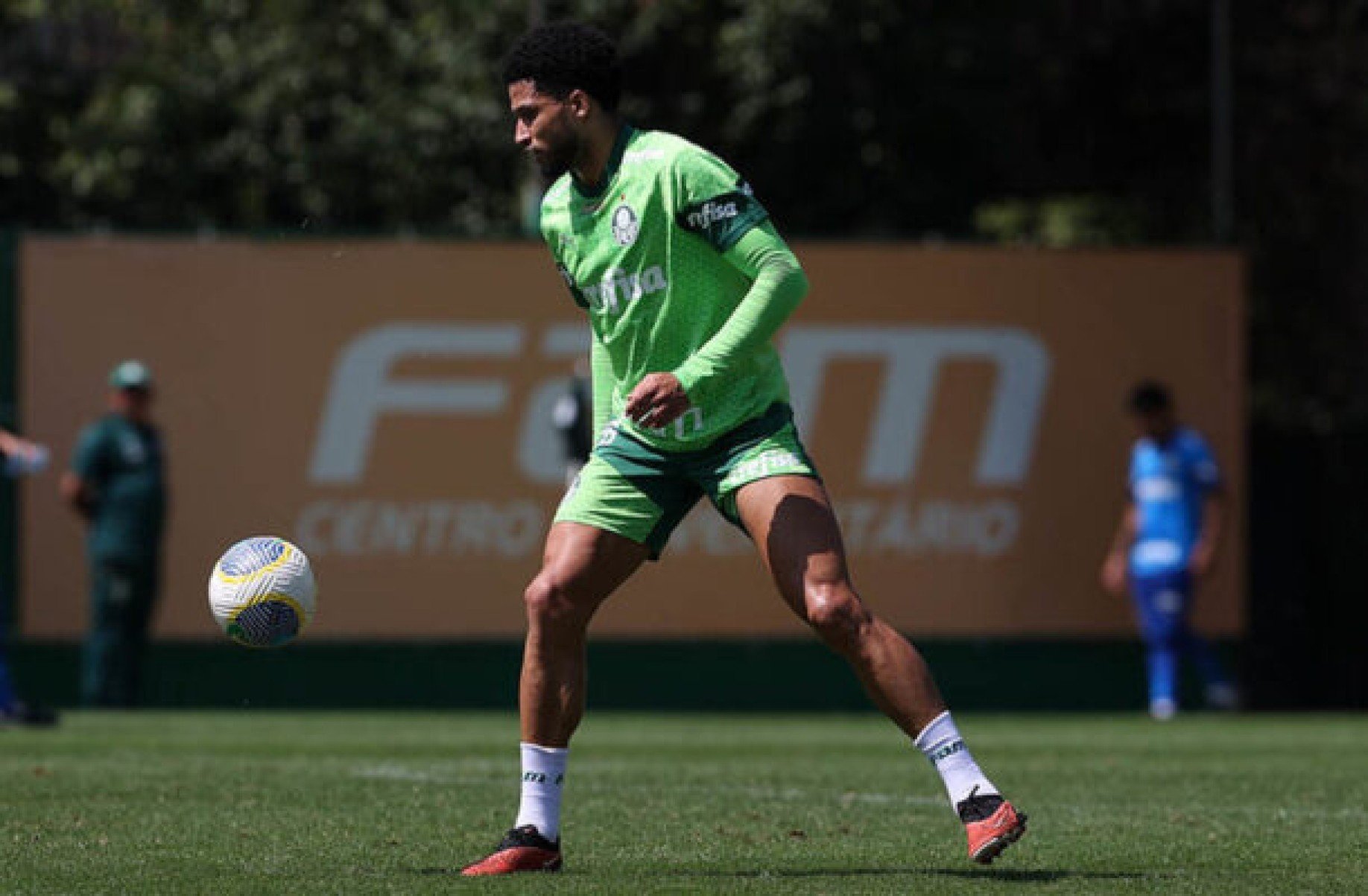 Palmeiras se reapresenta e Murilo celebra 150 jogos pelo clube