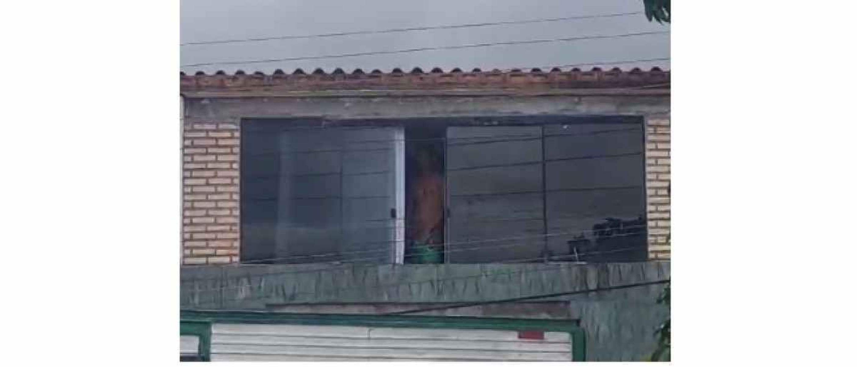 Homem é flagrado se masturbando em frente a uma escola infantil do DF