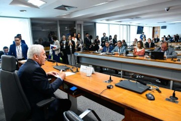  A comissão foi criada em outubro com o objetivo de investigar 'a crescente influência dos jogos virtuais de apostas on-line no orçamento das famílias brasileiras' -  (crédito: Geraldo Magela/Agência Senado)