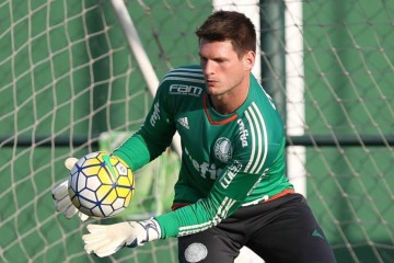 Vagner foi titular do Palmeiras em três jogos do Brasileirão e em um da Copa do Brasil em 2016, quando Fernando Prass se lesionou -  (crédito: Cesar Greco/Palmeiras)