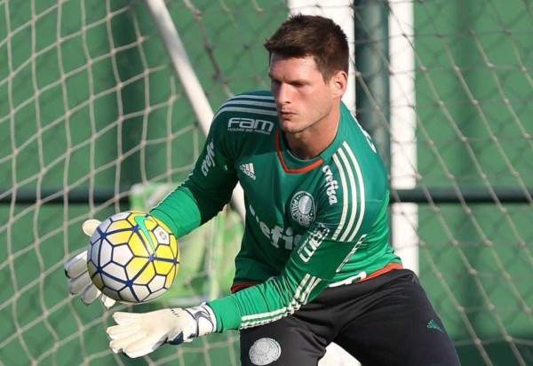 Cesar Greco/Palmeiras