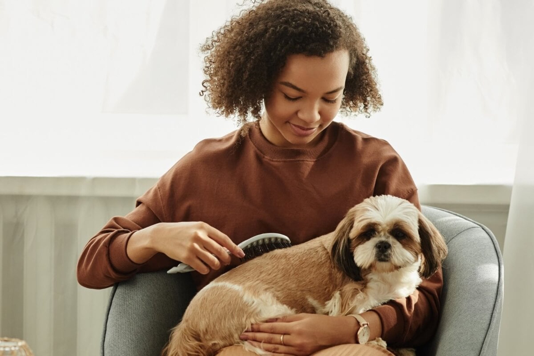 Escovar os pelos dos animais é fundamental para mantê-los saudáveis (Imagem: SeventyFour |  Shutterstock) -  (crédito: EdiCase)