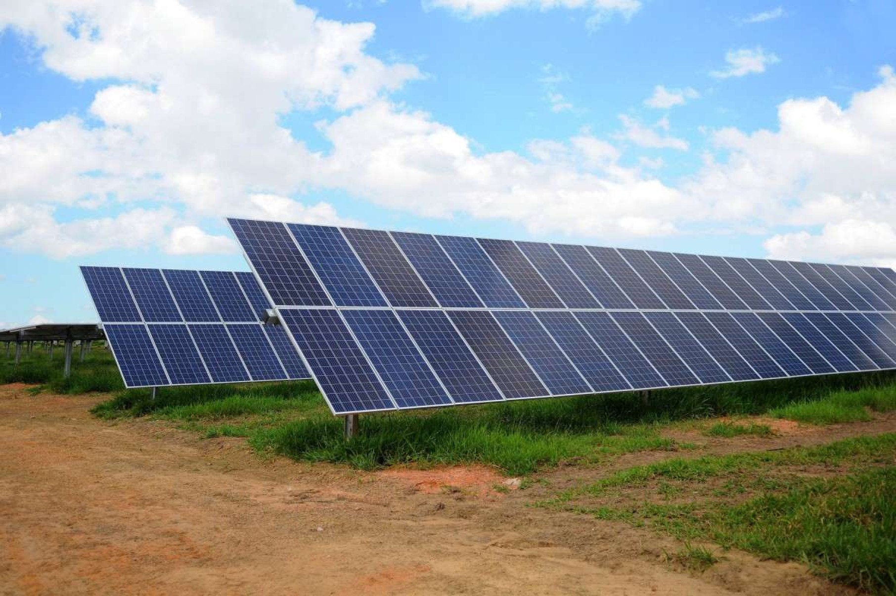 Brasileiros querem que país lidere a transição energética