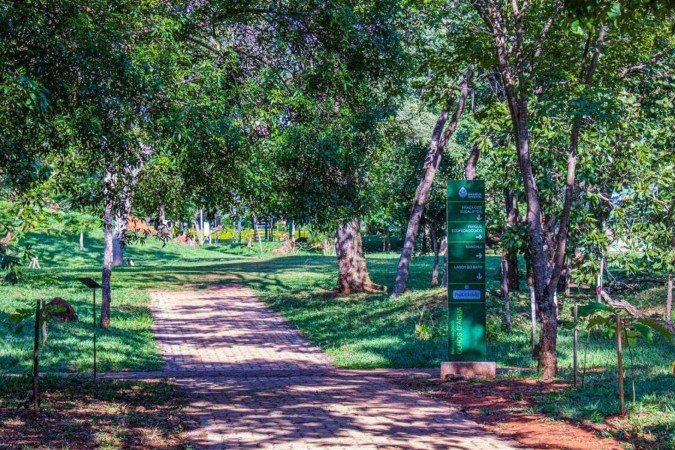 Uma mulher foi vítima de tentativa de estupro no interior do parque no dia 6 de dezembro, no período da tarde. - (crédito: Brasília Ambiental) Uma mulher foi vítima de tentativa de estupro no interior do parque no dia 6 de dezembro, no período da tarde. - (crédito: Brasília Ambiental)