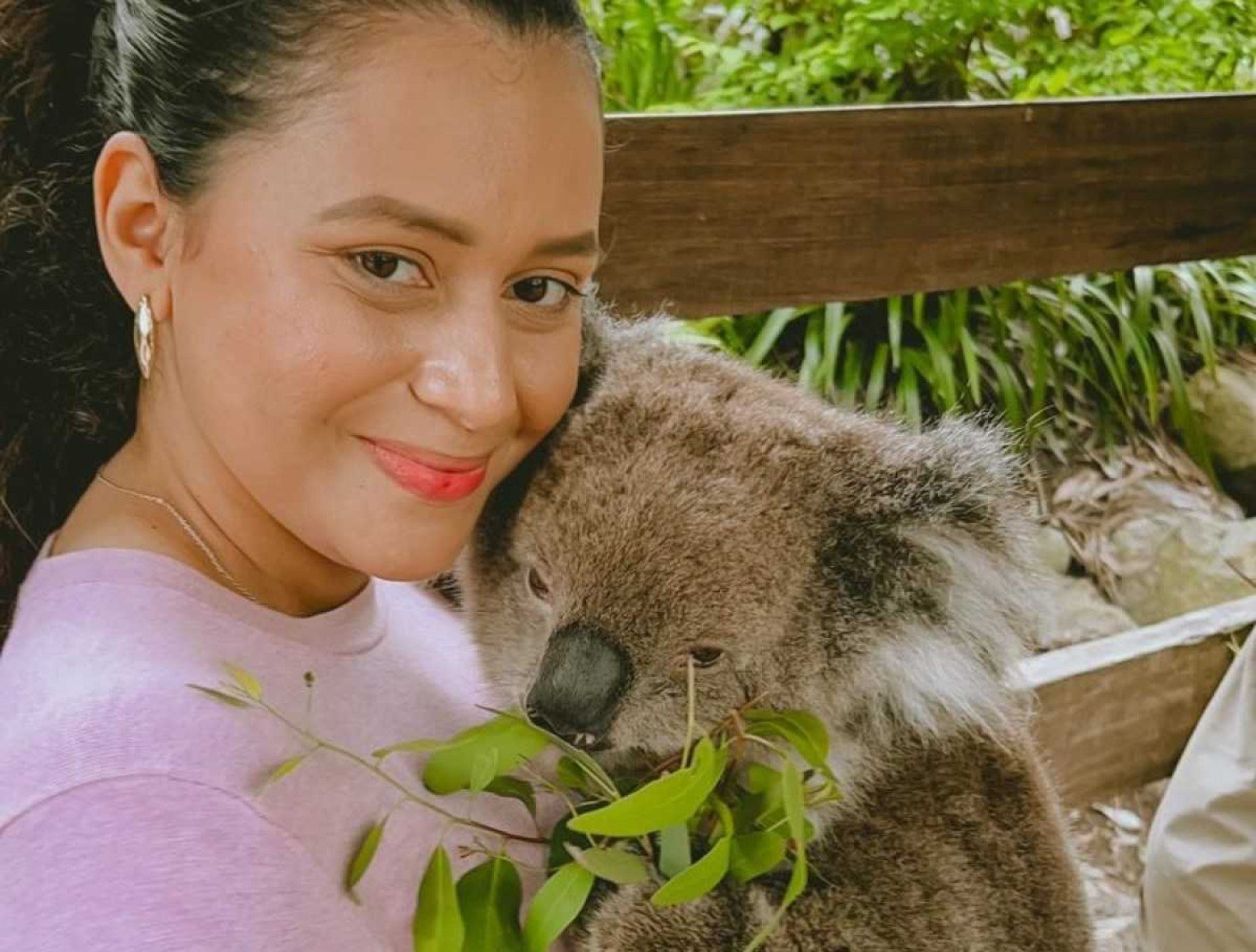 Brasileira conta como achou coala dentro do quarto