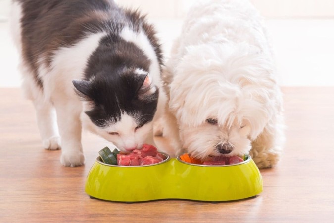 Com alimentos frescos e naturais, a dieta dos pets pode se tornar mais rica e equilibrada (Imagem: Monika Wisniewska | Shutterstock) -  (crédito: EdiCase)