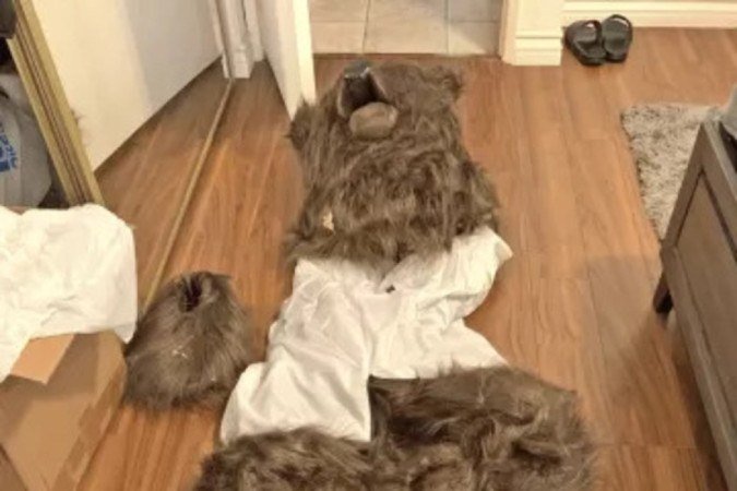 Após cumprir um mandado de busca e apreensão, os policiais encontraram uma fantasia de urso na casa dos suspeitos - (crédito: Divulgação) Após cumprir um mandado de busca e apreensão, os policiais encontraram uma fantasia de urso na casa dos suspeitos - (crédito: Divulgação)