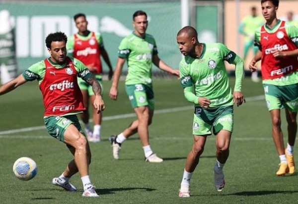 Foto: Cesar Greco/Palmeiras