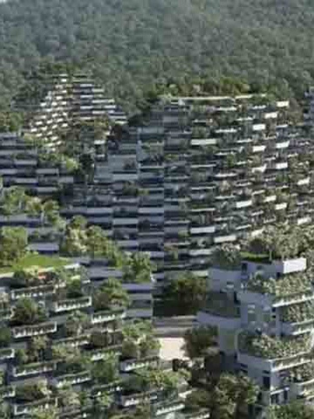 Primeira 'cidade floresta' do mundo: Conheça essa inovação chinesa