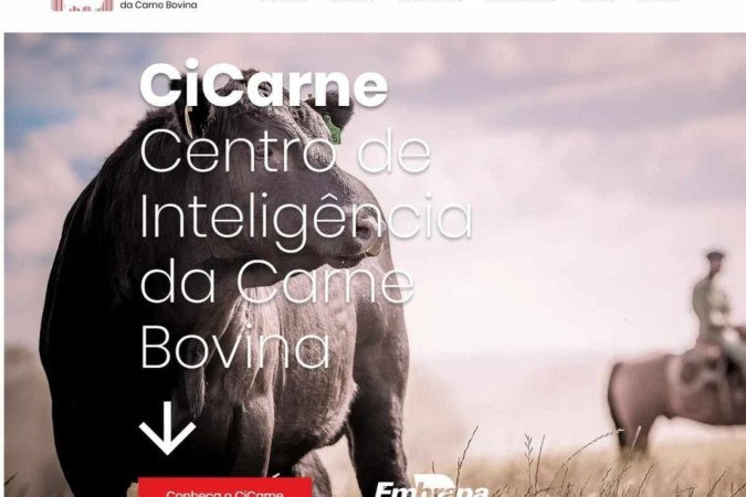 O CiCarne centraliza dados e informações sobre a produção de carne bovina no Brasil -  (crédito: Reprodução)