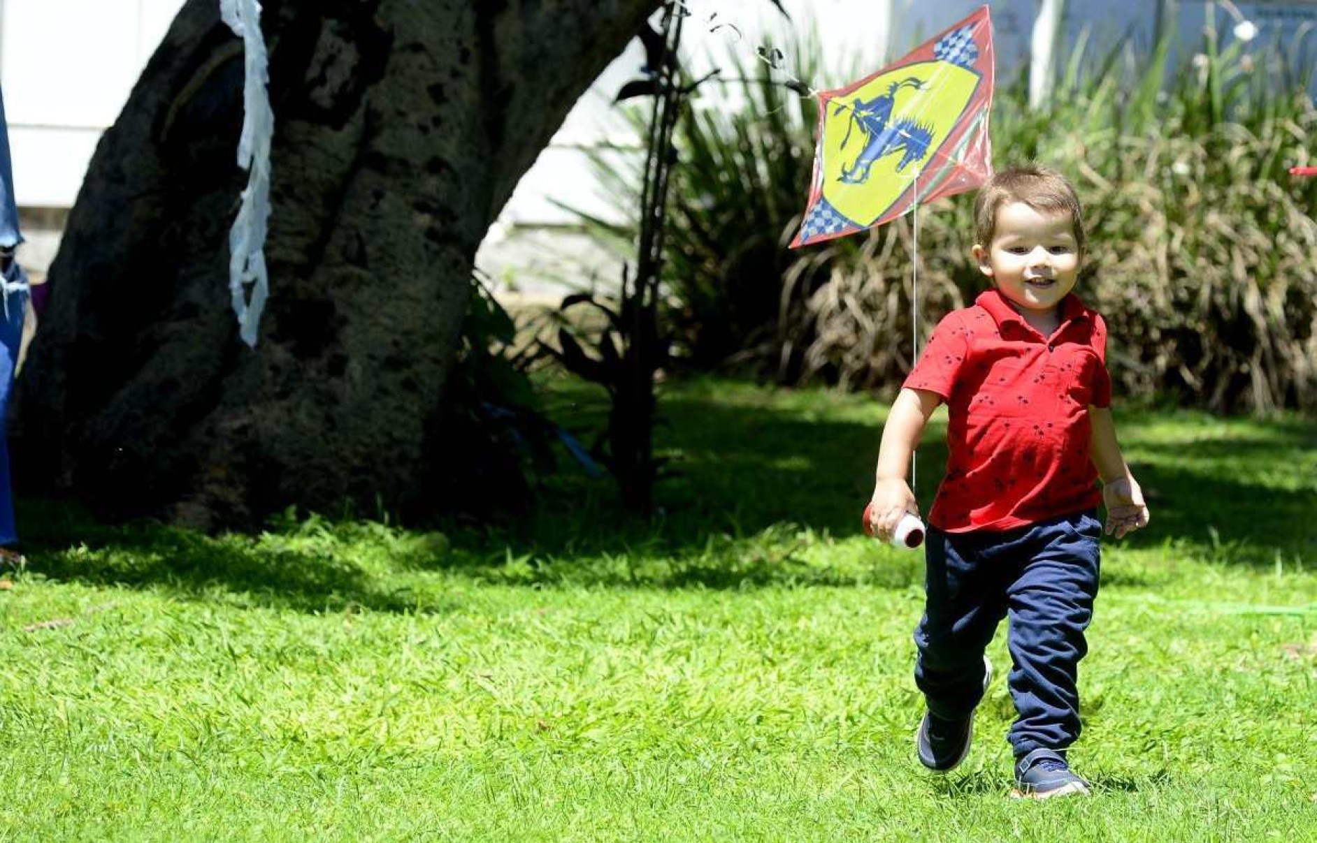 Menino de 3 anos que venceu câncer pulmonar tem história contada em livro