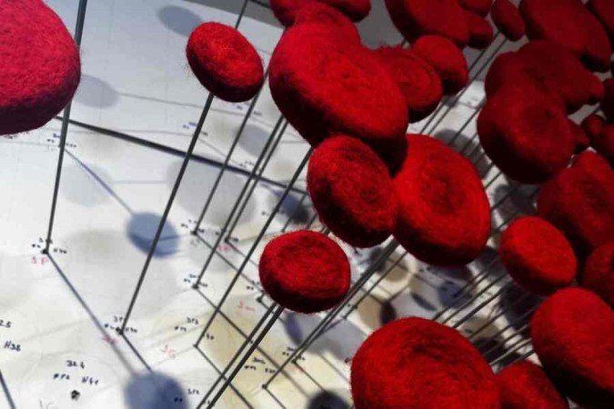 Formas e elementos orgânicos fazem parte 
da obra de Sônia Dias